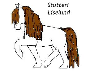 4/1-2009 Vi skal have et logo til stutteriet. 

Meeeeeen..... Det er sørme svært. Har selv på computer tegnet den lille hest på velkomstsiden og som også er afbilledet nedenunder. Hvis du har lyst, må du gerne lave en bedre tøltende hest, så vil vi meget gerne have lov til at bruge den på vores hjemmeside. 

Den skal såmænd bare være noget helt for sig....

Kommentarer ønskes naturligvis også gerne.... Eller andre idéer til logo....