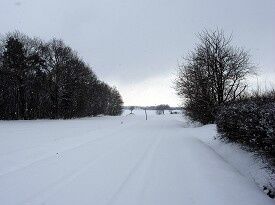 5/1-2009 Til morgen var hele øen dækket af 10 cm sne.

Hvor var det smukt. Ikke ligefrem en motivationsfaktor til at tage på arbejde. En tur i skoven med hundene eller hestene havde bare været perfekt.

Men almindelig arbejdsdag blev det. Og vi må håbe på mere sne i weekenden.

Se lige Blemmelyngvejen mod Nylars i sne.... Pragtfuldt.