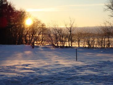 10/3-2010 Se solen stiger op.... 

Forårets fantastiske solopgange kan få alle hjerter til at smelte...

Den ro og fred der hersker blandt dyrene en tidlig morgen kan ikke betales med penge.

Karsten har kreeret en dejlig vinter/forårsret... Se under Liselund opskrifter - hovedretter. 

Vi er alle stopmætte.... Det er sjældent at dyrene tigger, men når det dufter af fladmast Liselund unghane... såeh!!!!

Velbekomme!!!
