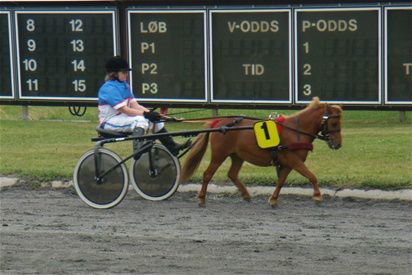 13/5-2011 Var sammen med gode venner til trav i Almindingen i dag. 

Vi skulle nemlig se vores tidligere shetlandspony Smilla løbe sit debutløb. Smilla er nu 3 år gammel og hele 75 cm høj(?????) 

Da vi kom ind på travbanen og så, at hun skulle løbe mod nordbaggere/fjordheste og andre store ponyer blev vi lidt mutte. Men hun var publikums yndling og tog det med stoisk ro. 

Lille 11-årige Fillippa kørte hende til sejr efter en omstart, hvor Smilla stod med måsen den forkerte vej.... Der var stor forskel på løbets længde, men det var der så sandelig også på ponyernes ben.... Smilla løb hele 570 meter og den store Fjordhest næsten 1200 meter. MEEEEEEEN hun kom i mål næsten 20 meter før den næste i rækken.

Ja indrømmet så blev vi godt nok lidt rørte... At tænke sig, at vi havde avlet en Mini-Tarok!!!! Det kan være at vi skal sætte om og avle shetlandstravere  i stedet for islændere....

Der kommer helt sikkert et foto af Smilla senere, desværre var mit kamera løbet tør for strøm og jeg måtte låne mig frem.... OG de fotos blev desværre ikke til noget!!!! ØV ØV ØV
