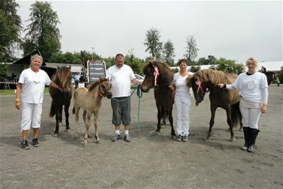 4/7-2011  Kære allesammen...

Tusinde tak til alle jer, der lagde vejen forbi vores stalde ved dyrskuet på Bornholm i denne weekend. En speciel tak til Lone, Leif, Sanne og Knor, der kom helt fra Vemmelev for at hilse på os og Øgge. Tak til Birgit og Jørgen for jeres besøg fredag aften.

Tusind tak til Anne-Mette, AC, Tjeld, Morellen, Mulle, Schollebassen og Dittemus for den store bistand I ydede i forbindelse med dyrskuet. Uden jer var det aldrig gået så nemt og hyggeligt. I var til kæmpe hjælp og vi håber at må trække på jer igen.

Vi takker også dyrskueudvalget, Kannikkegaard, dommer, sekretær samt øvrige udstillere for en dejlig weekend.

Det er hyggeligt at få besøg. Vi havde to dejlige fællesspisninger fredag og lørdag. Noget som vi altid ser frem til. 

Til de af jer, der ikke kunne komme eller som bare er interesseret, så var det et godt dyrskue for stutteriet. 

Vi havde 4 heste med. Efridís, Léttir, Øgge og Abba.

Alle fire fik meget fine resultater og vi er så stolte over at have så gode dyr. I kan læse mere om resultaterne på hestenes egne sider.