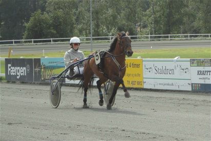 6/8-2011 En hel uge med gæster i stalden... Dejlige ponyer, der skulle deltage i DM i ponytrav på Danmarks smukkeste travbane... 

Se fotos af vore gæster på siden med DM i ponytrav.
TYSSE fik sølv i sin klasse. Desværre gik det ikke så godt for de andre... men vejret var pragtfuldt og der var mange glade mennesker alligevel.

Vores føllebasser bliver store og kraftige. Der er virkelig gang i den. Lille Lena - eneste tøs i flokken - forstår at klare sig. De tre drenge hænger i manen på Magnús og Skáti. Det er enormt sjovt at lege med 