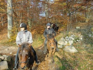 6/11-2011 I dag var det pragtfuldt vejr og vi nød at skulle på tur med vores lokale islænderforening Tölta. 

Turen gik gennem Almindingen, næsten til Bastemosen, var et smut på travbanen og så ud til Hareløkkerne. Her ventede vi spændt på at se feltet fra Hubertus-jagten. En tur vi er med til hvert år. 

I år var der mange ryttere med og turen gik rask afsted. Lige noget for Øgge og mig. 

Bagefter turen var der frokost og hygge i skurvognen på banen. 

På billedet er vi på vej ned til Ekko-dalen og du kan se Eva og Ejnar forrest.... 

Pragtfulde farver i den skønne Ekko-dal!!! 