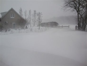 17/12-2011 Ja da....

Smilla er blevet døbt og hedder nu officielt Smilla Lund Sørensen. Hun er det smukkeste, klogeste og dejligste barnebarn man kan tænke sig. (ved godt at man som morforældre ikke er særligt objektive) 

Vi har vænnet 2 af føllene fra, Magnús er kommet hjem fra Teglkås og alle 3 går nu sammen med Skáti på drengefold. 

Vores vædder Dirch passer 