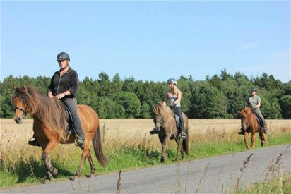 9/9-2015 - Septembers himmel er så blå.... dens stjerner lyser klare....   

Her på Bornholm er der kæmpe mulighed for at få sit ønske om at se stjerneskud opfyldt.   

Det er en oplagt mulighed for at ride sene aftensture på vore skønne ismuler.   

Sommeren har været forrygende med mange gæster fra nær og fjern - Vi takker alle for besøgene...  

De to nye i stalden har det fint. Byr er allerede godt på vej ind i turridningsflokken. Det tager lidt længere tid med Frosti. Men alle skridt er fremskridt....   

Efteråret er stadig turridningssæson... og vi glæder os til at se jer.